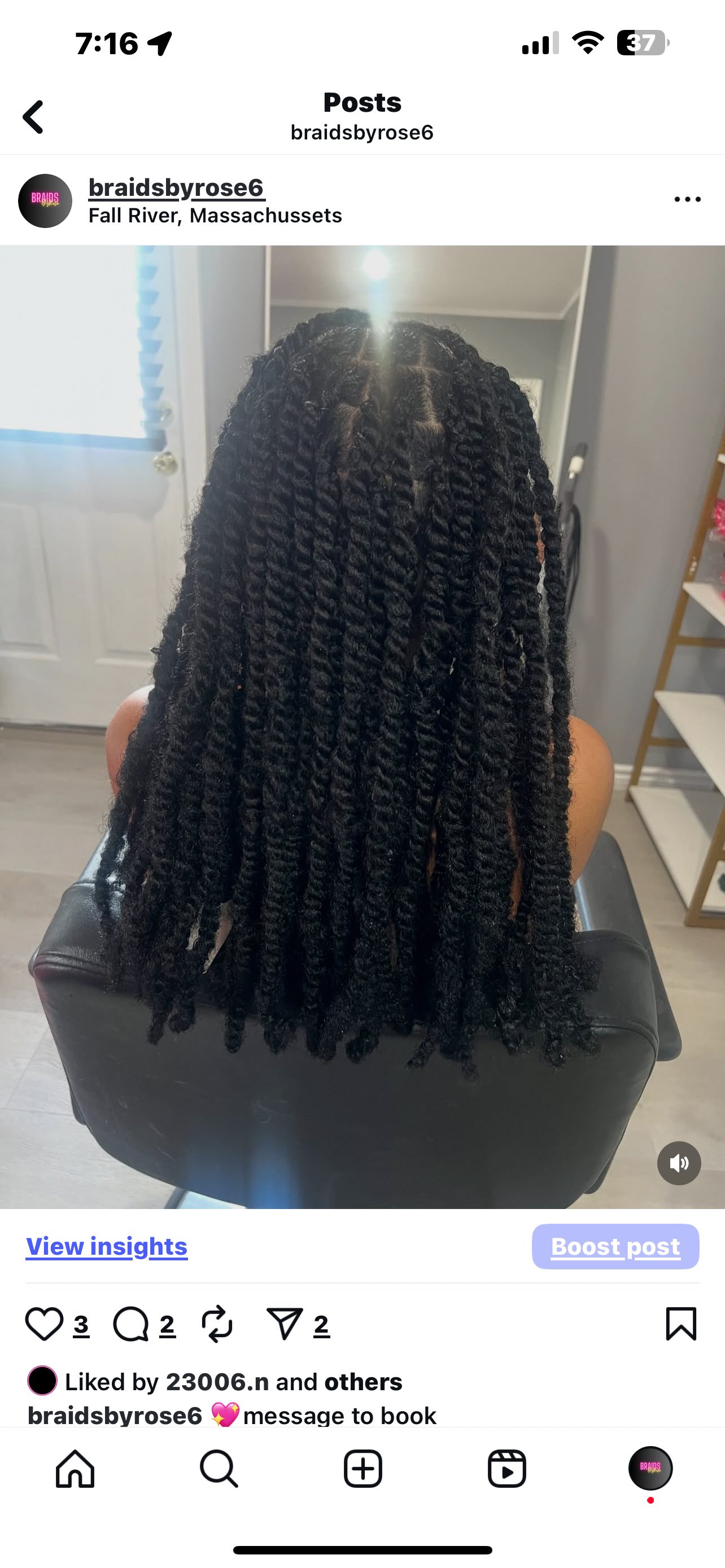 Long dark twisted braids